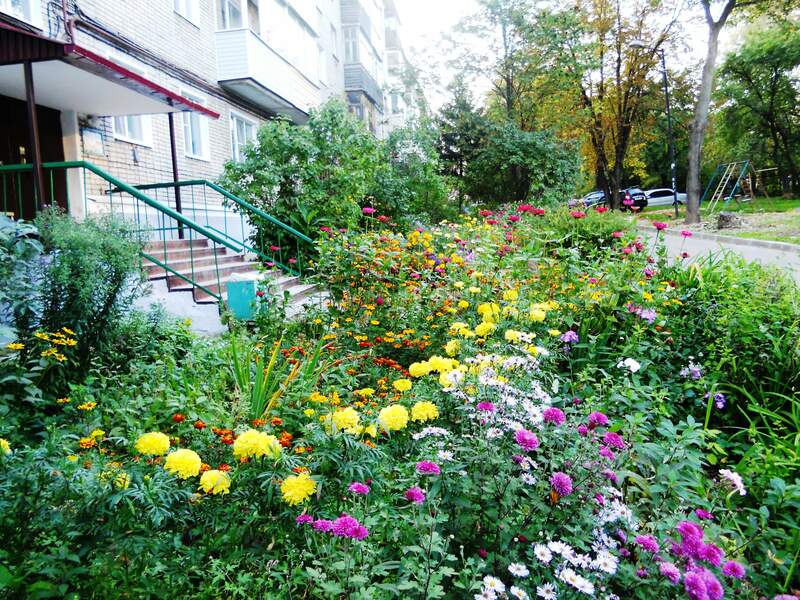 DSCN3550.JPG [800x600px]